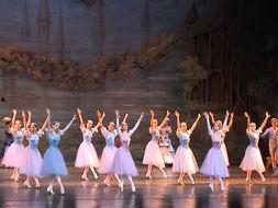 芭蕾舞表演视频,芭蕾舞表演的视觉盛宴