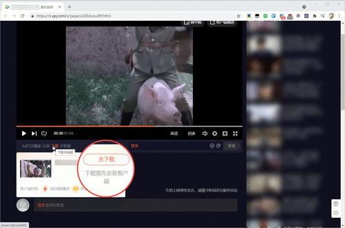 视频下,探索未知领域的精彩瞬间