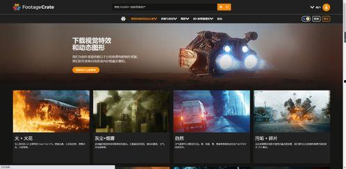 成人网络视频,揭秘成人娱乐产业的魅力与争议