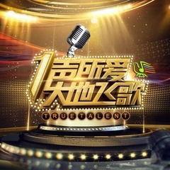 大地飞歌视频,探寻民族音乐的魅力之旅