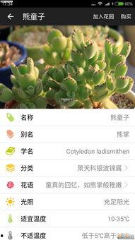 爱草视频网,海量资源，畅享视听盛宴