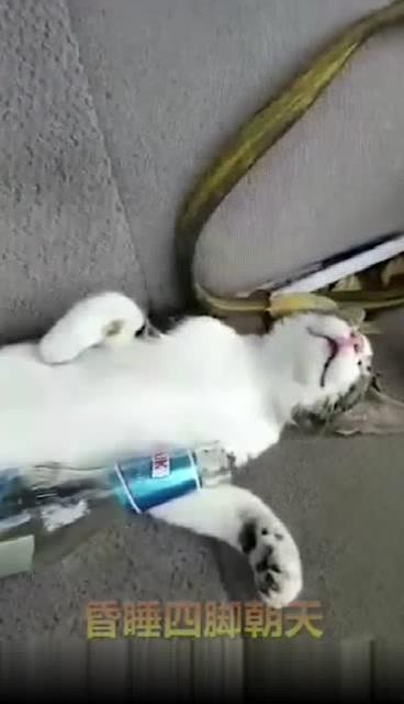 醉酒搞笑视频,搞笑视频里的欢乐瞬间