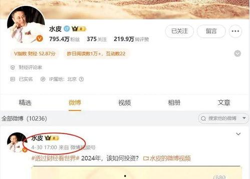 水皮视频,揭秘市场动态与投资策略