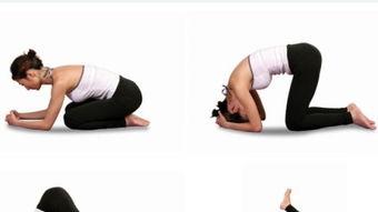 练瑜伽视频教程,跟随视频轻松掌握瑜伽基础动作