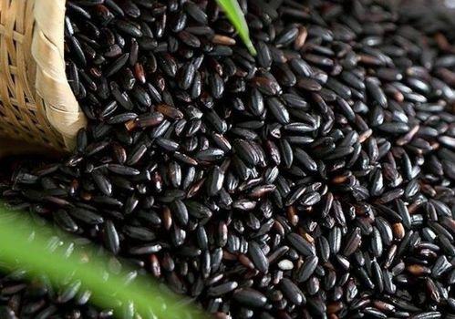 黑米和板栗瓜一起吃吗,营养互补的美食探索