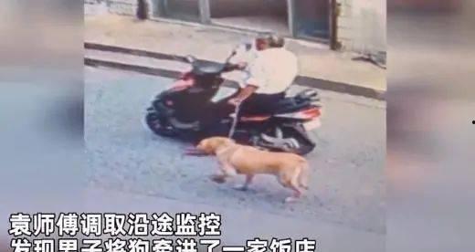 偷狗被打视频,偷狗事件引发的激烈冲突视频曝光
