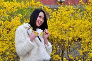 知画视频,探索视觉艺术与科技融合的无限可能