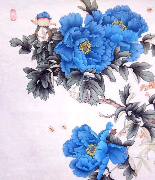 画牡丹花视频,视频中的国色天香瞬间