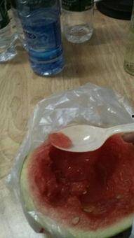 仓鼠可以吃黑瓜,仓鼠的美食新宠