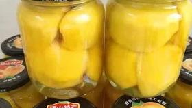 罐头视频,揭秘现代食品工业的奇迹与争议