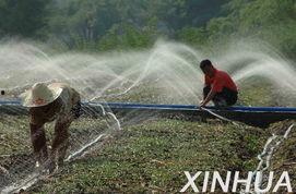 喷灌视频,高效节水农业的视觉之旅