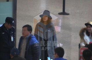 狗仔视频,娱乐圈幕后真相大曝光