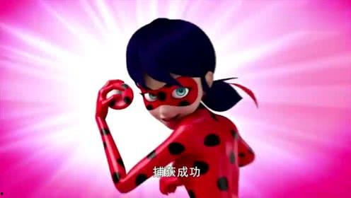 小瓢虫视频,探寻自然奥秘的奇妙之旅