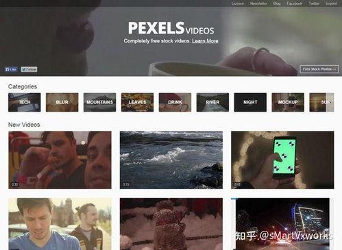 外国视频网,探索外国视频世界的精彩瞬间