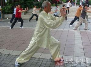 打太极视频,视频中的动静和谐之美