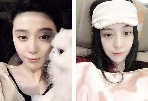 学霸明星女朋友爆料吃瓜,女朋友爆料背后的甜蜜与酸辣