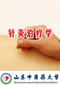 针灸学习视频,跟随视频学习针灸技巧与原理