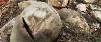 方山吃瓜最新事件爆料,最新爆料揭露惊人内幕