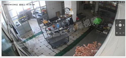 食品厂视频,从原料到成品的生产全过程揭秘