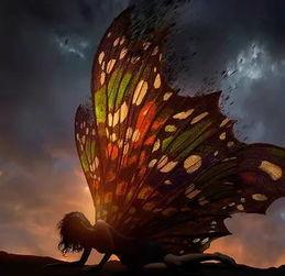 破茧成蝶视频,蜕变之旅的启示录