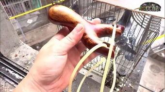 弹弓视频大全,趣味射击技巧大揭秘