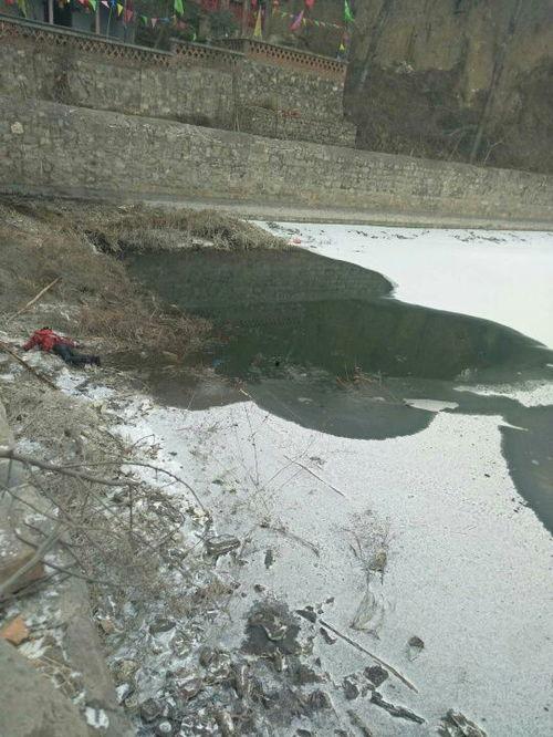 邯郸淹死孩子视频,视频揭露儿童溺水惨案
