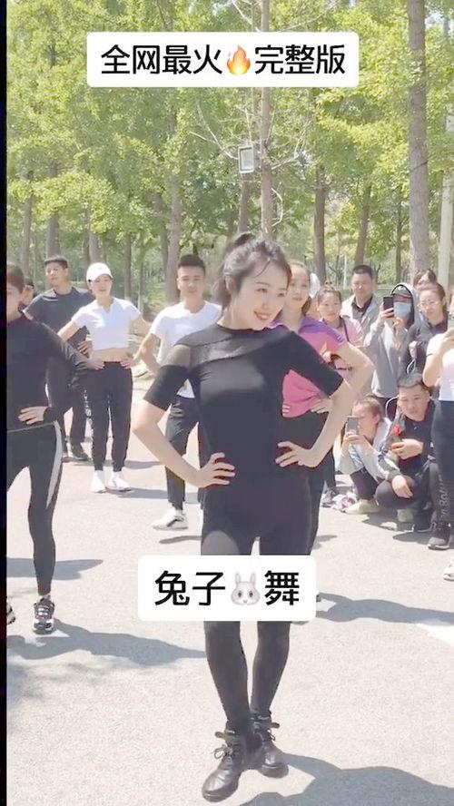 兔子舞视频大全,欢快节奏下的舞蹈盛宴
