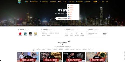 网站 视频,跟随视频揭秘科技前沿