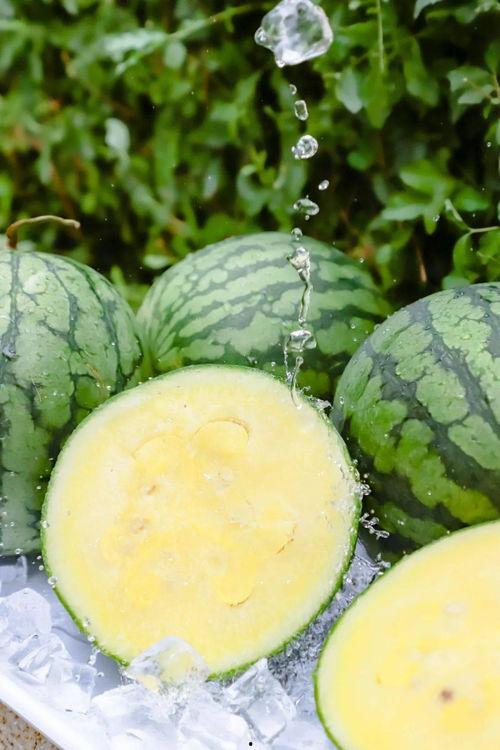 黑瓜吃料正能量官网今日,今日精选，传递阳光与活力