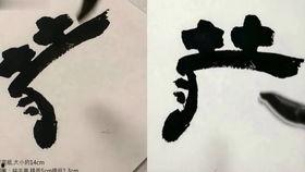 毛笔字教程视频,从入门到精通的书法艺术之旅