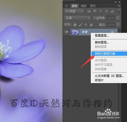 怎么制作动态视频,动态视频制作全攻略