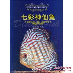 燕鱼视频,探索视觉盛宴的数字世界