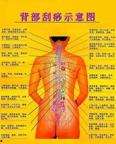 肩颈刮痧视频,跟随刮痧视频学养生