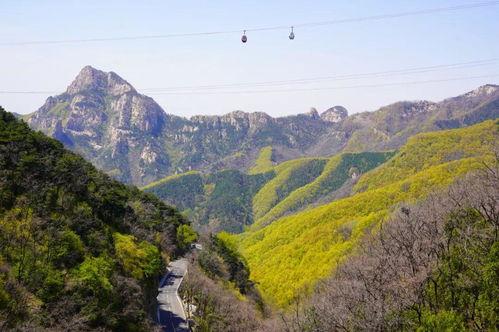 山东泰山视频,山东泰山壮丽风光全景之旅