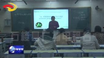 视频课堂,深度解析课程要点