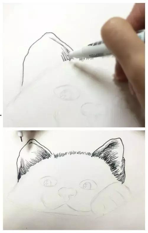 画画入门视频,跟随入门视频轻松掌握绘画技巧