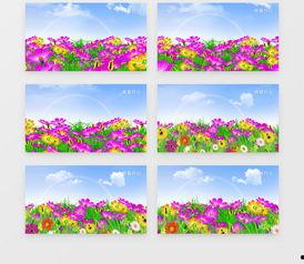 春天视频素材,捕捉春天的美好瞬间