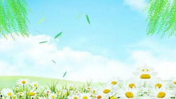 春天视频素材,捕捉春天的美好瞬间