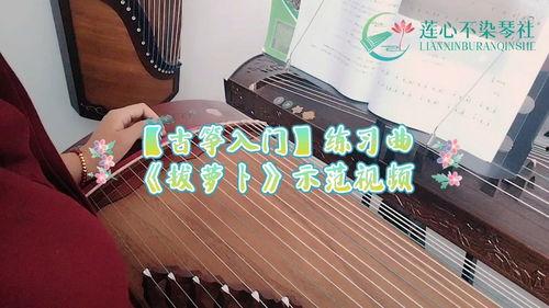 古筝入门视频,入门视频精华解析
