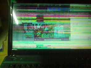 看视频花屏,揭秘屏幕故障背后的秘密