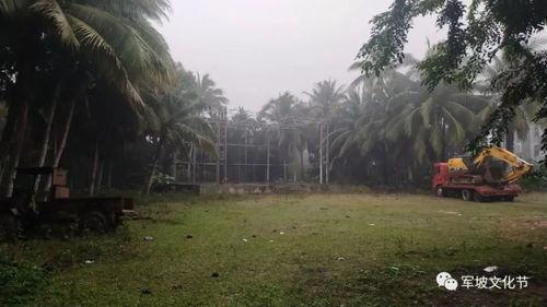 军坡视频,揭秘军事训练的震撼瞬间