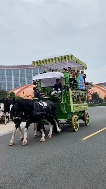 马拉车视频,探寻传统农耕文化的魅力与传承