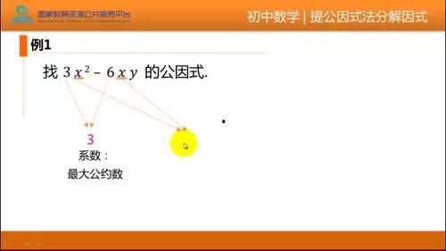 整式视频,视频深度解析