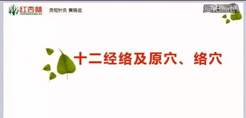 十二经络视频,揭秘人体生命奥秘