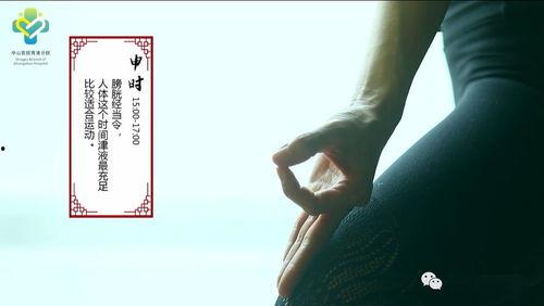 十二经络视频,揭秘人体生命奥秘