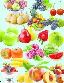 水果视频大全,缤纷美味，尽享视觉盛宴