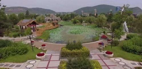 美丽家园视频,探寻生态宜居的绿色奇迹