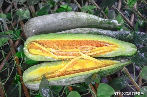 网红最新吃瓜爆料,娱乐圈惊天大瓜，揭秘明星背后惊人真相！