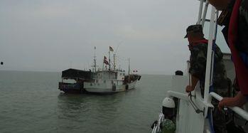 出海打鱼视频,惊险刺激的海洋生活纪实