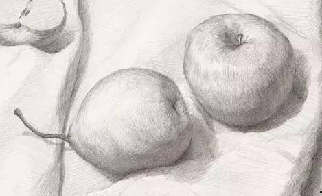 苹果素描视频,捕捉果实的线条与光影之美